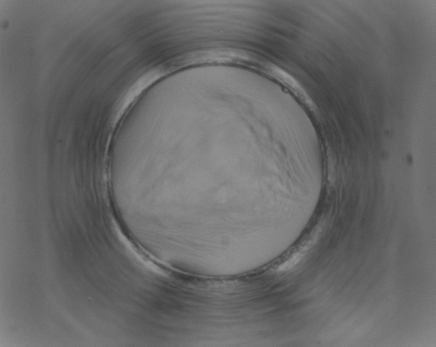 X0000078300802200612011833