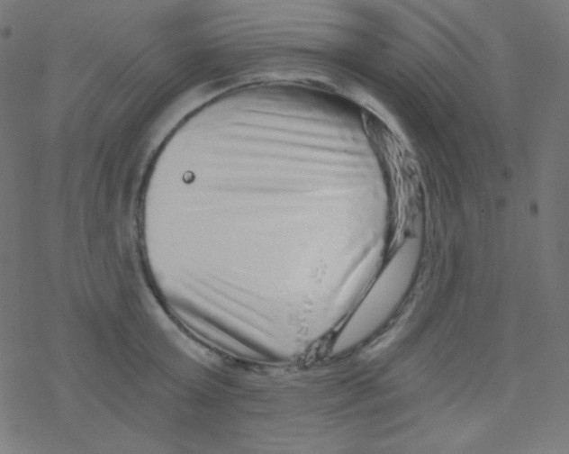 X0000078300803200612011833