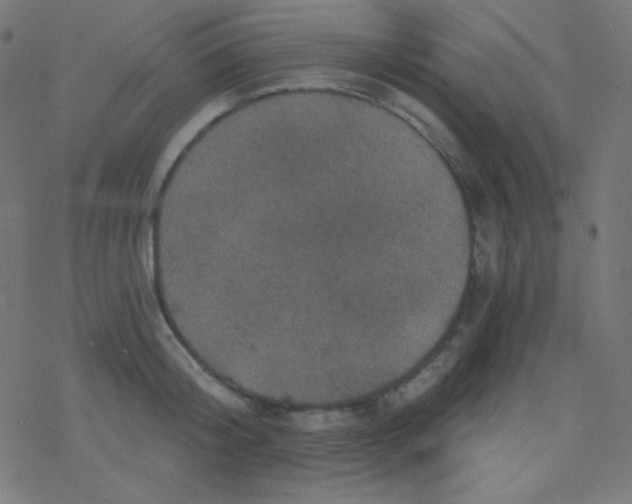 X0000078300804200612011833