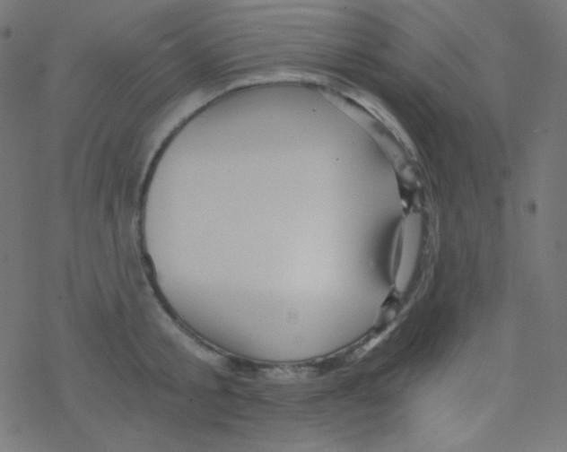 X0000078300805200612011833