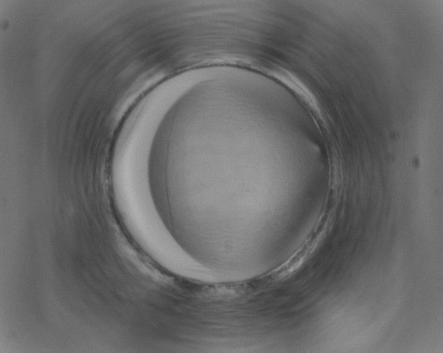 X0000078300806200612011833