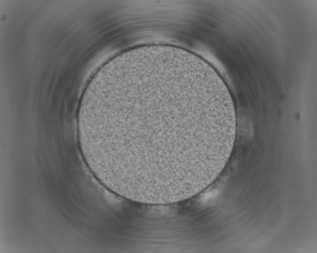 X0000078300807200612011833