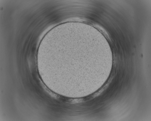 X0000078300808200612011833