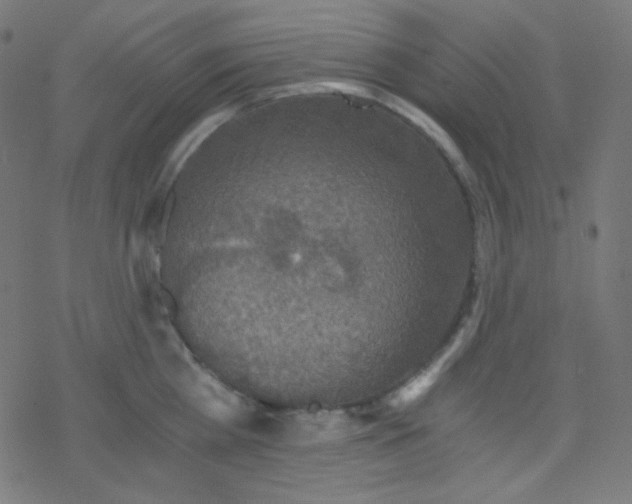 X0000078300809200612011833