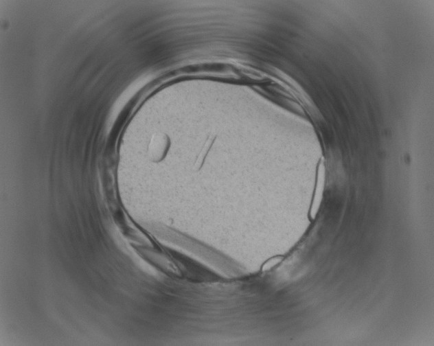 X0000078300812200612011833