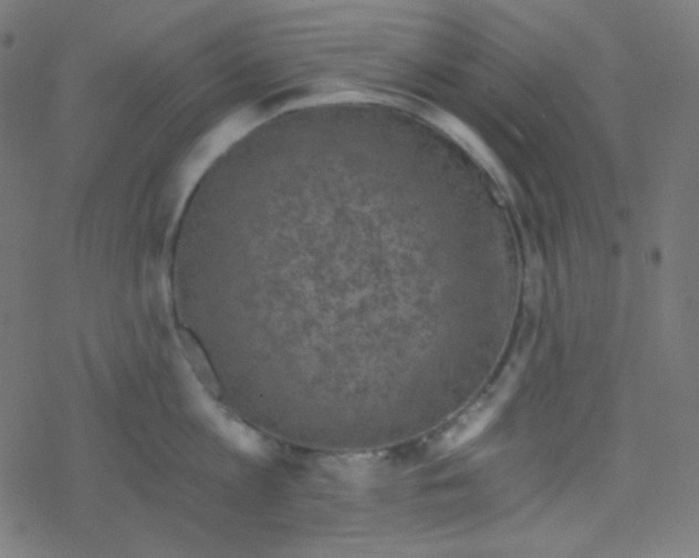 X0000078300813200612011833