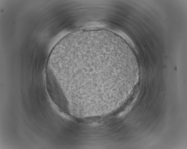 X0000078300814200612011833