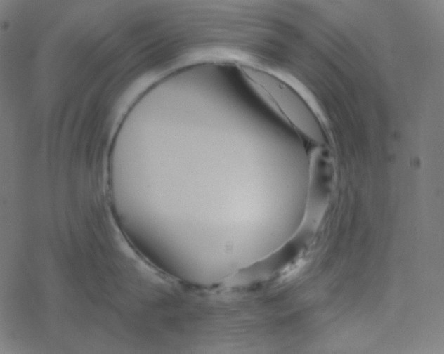 X0000078300815200612011833