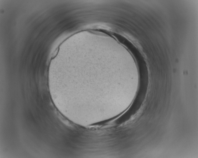 X0000078300816200612011833