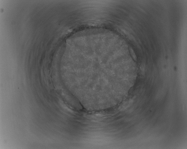 X0000078300817200612011832