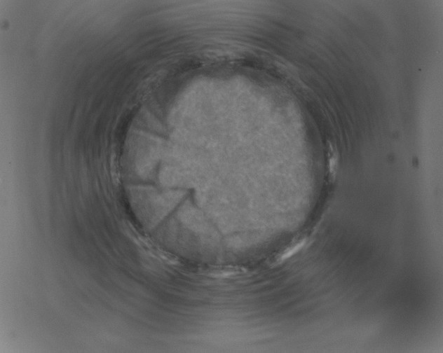 X0000078300819200612011832