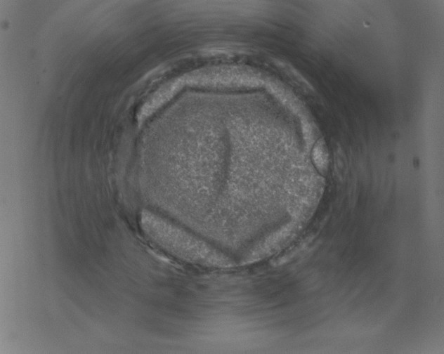 X0000078300821200612011832