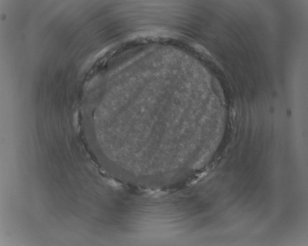 X0000078300822200612011832