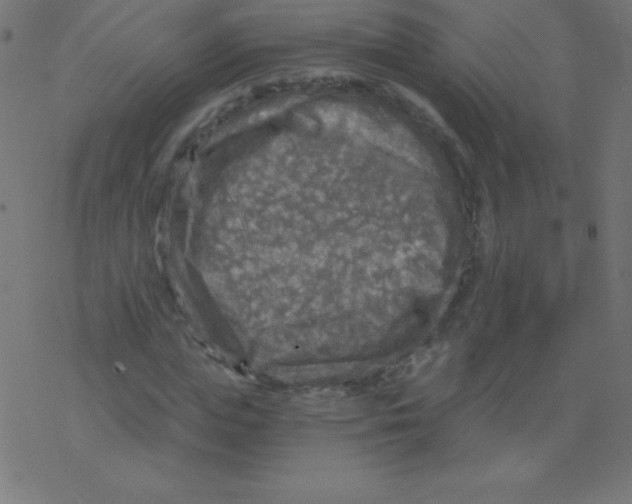 X0000078300823200612011832