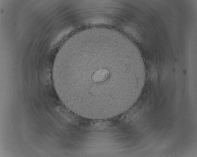 X0000078300824200612011832