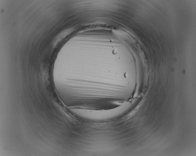 X0000078300826200612011832