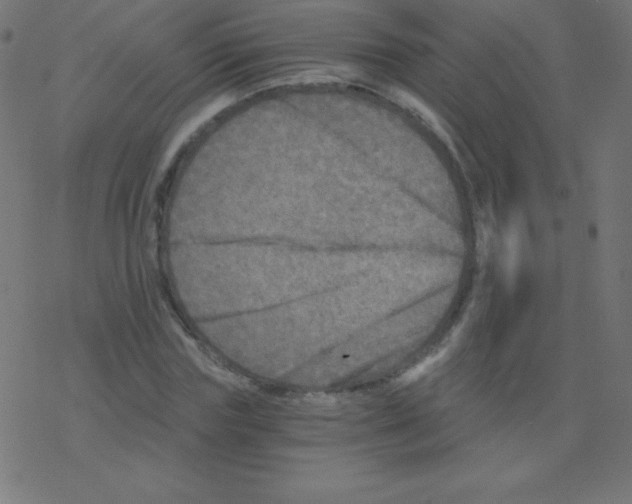 X0000078300827200612011832