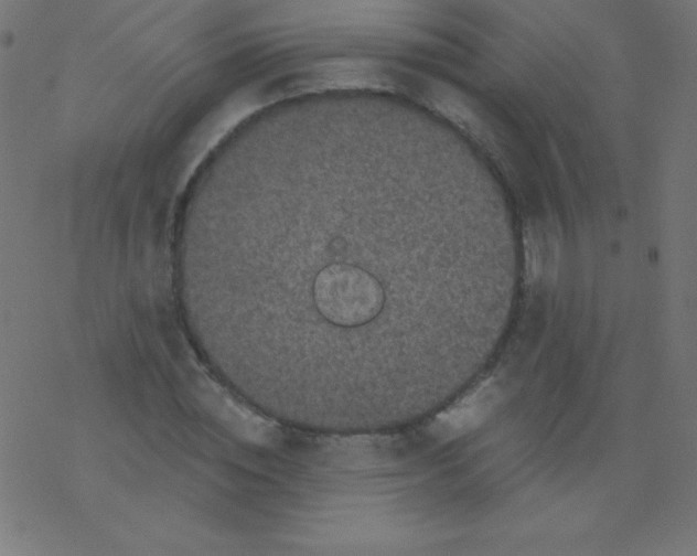 X0000078300828200612011832