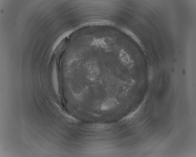 X0000078300829200612011832