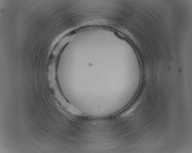 X0000078300830200612011832