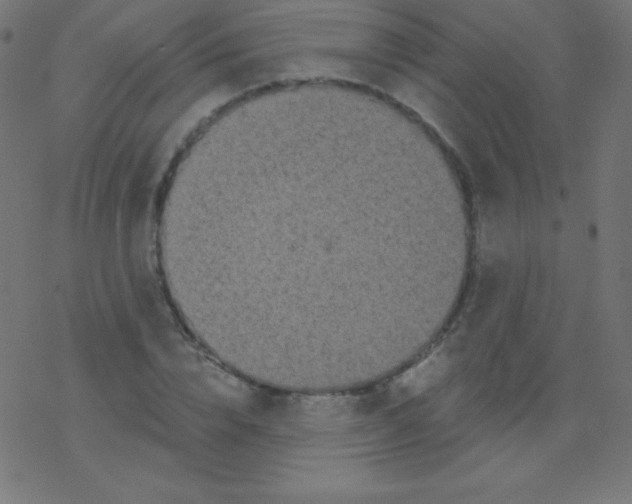 X0000078300832200612011832