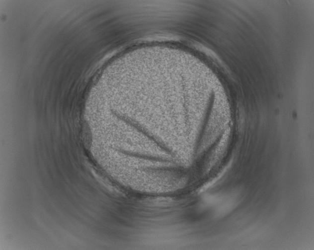 X0000078300833200612011832