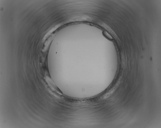 X0000078300834200612011832