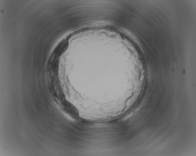 X0000078300835200612011832