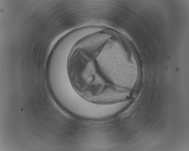 X0000078300838200612011832