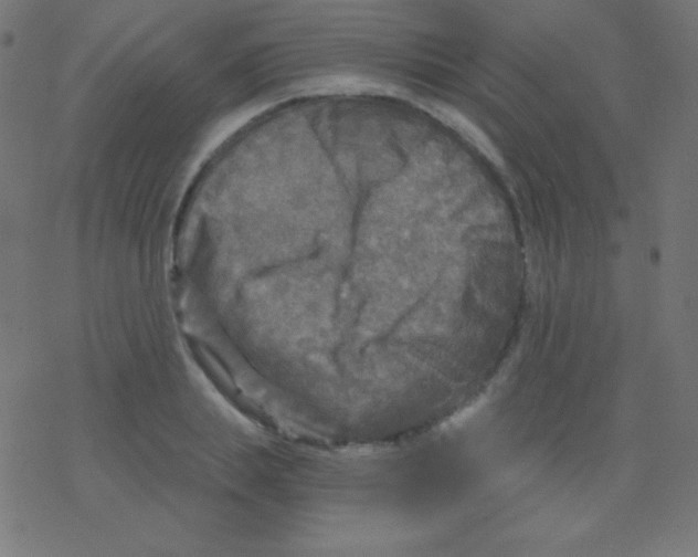 X0000078300839200612011832