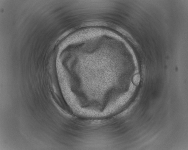 X0000078300841200612011832