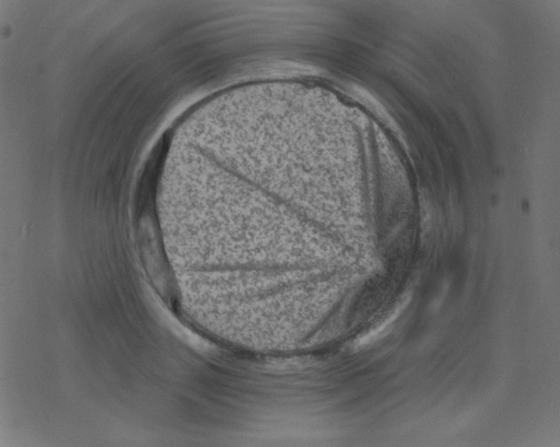 X0000078300843200612011833