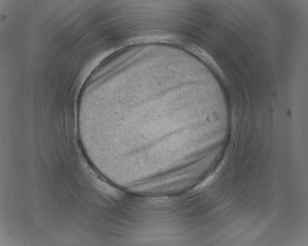 X0000078300844200612011833