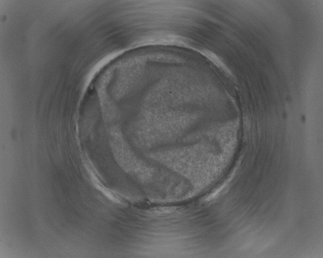 X0000078300846200612011833