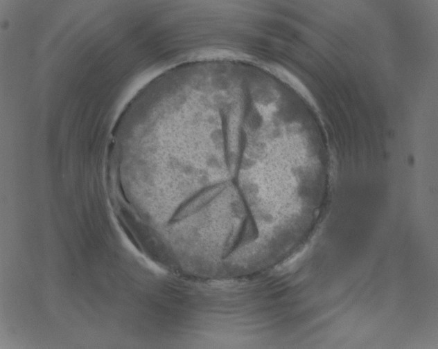 X0000078300847200612011833