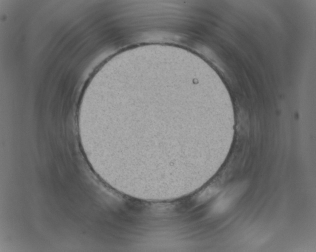 X0000078300848200612011833