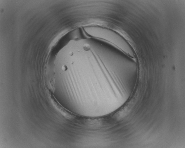 X0000078300850200612011833