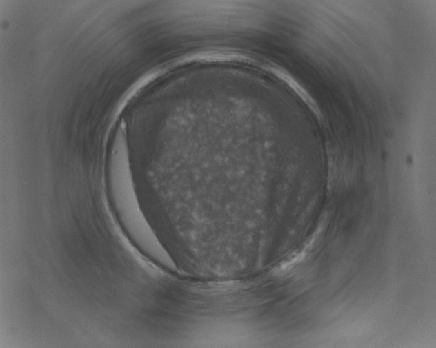 X0000078300853200612011833