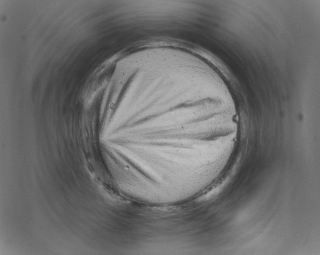 X0000078300857200612011833