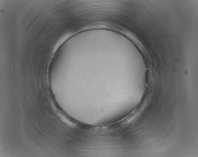 X0000078300858200612011833