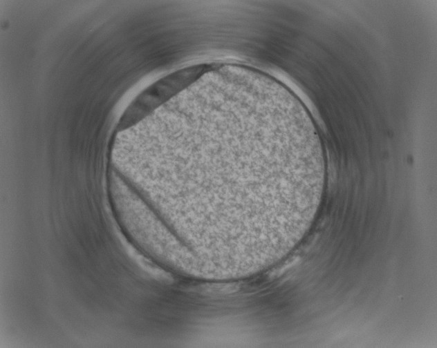 X0000078300861200612011833