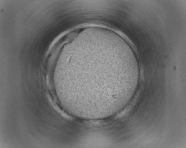 X0000078300862200612011833