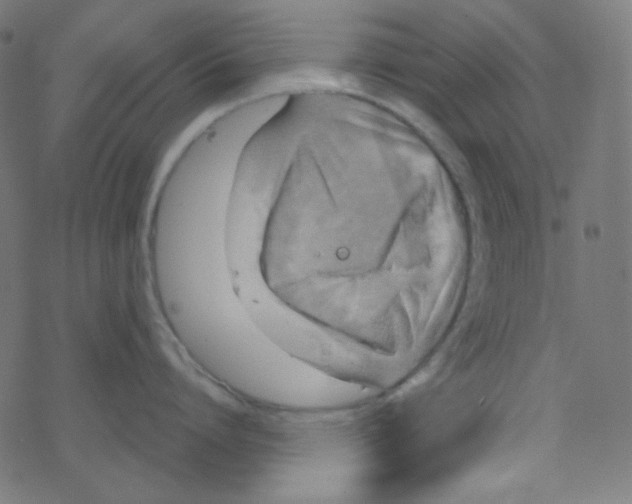 X0000078300864200612011833