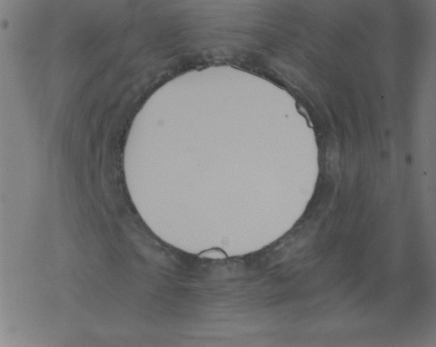 X0000078300865200612011832