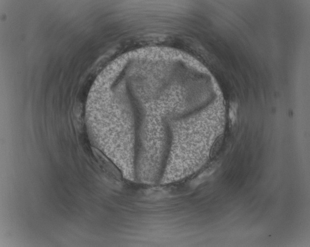 X0000078300867200612011832