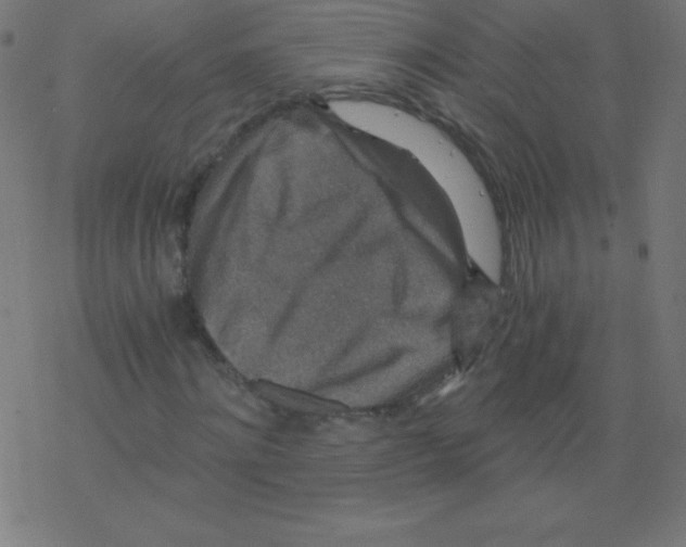 X0000078300868200612011832