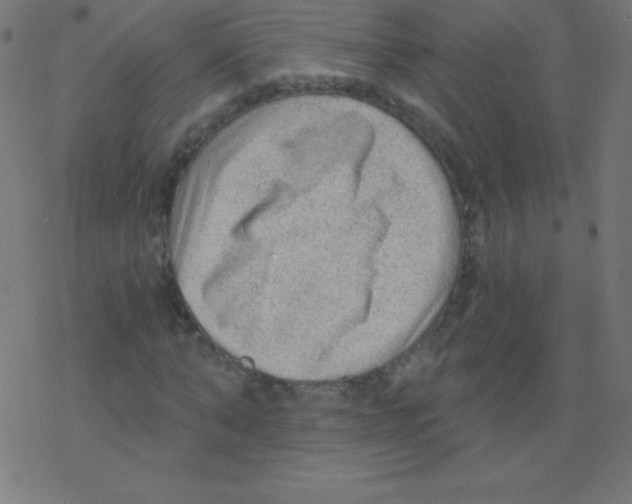 X0000078300870200612011832