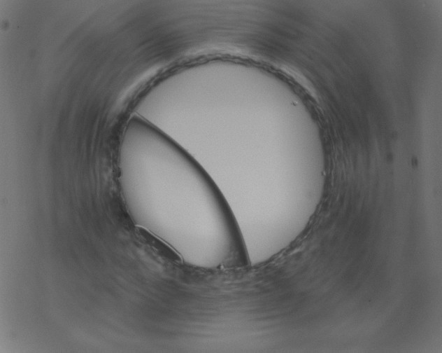 X0000078300872200612011832