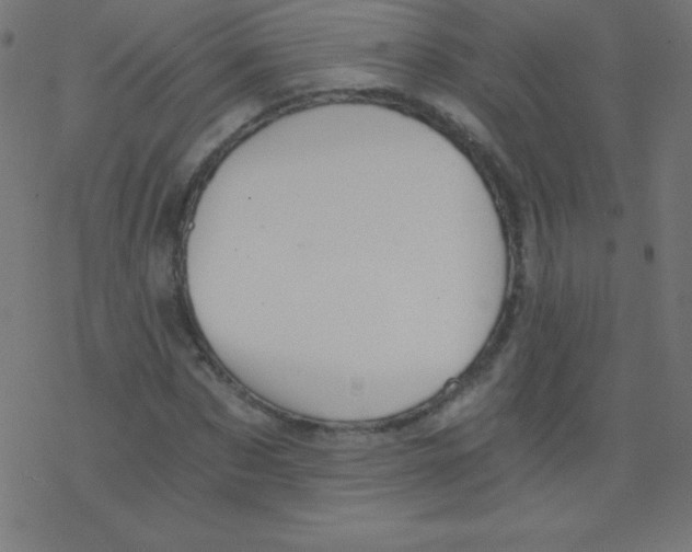 X0000078300873200612011832