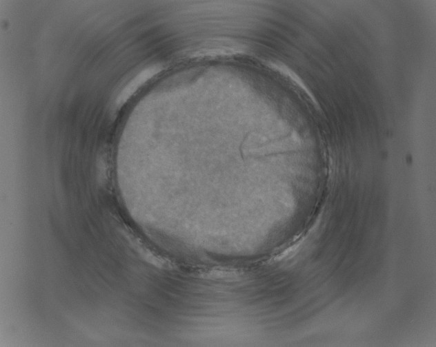 X0000078300874200612011832